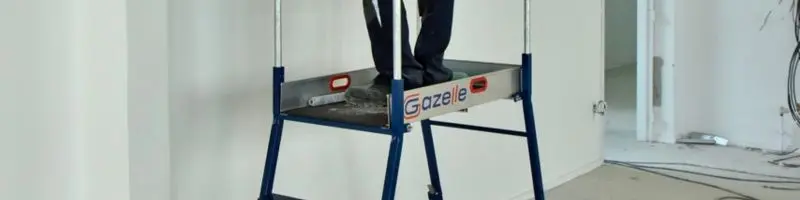 PIRL professionnelle - Gazelle